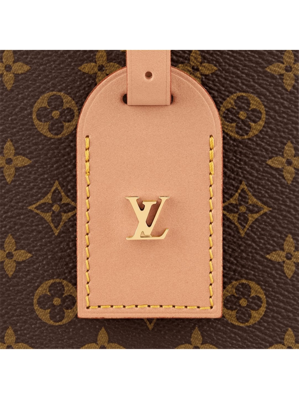 Сумка Louis Vuitton